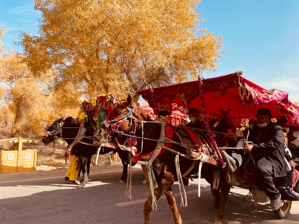 米乐官网举办“石榴籽杯”摄影作品征集评选活动