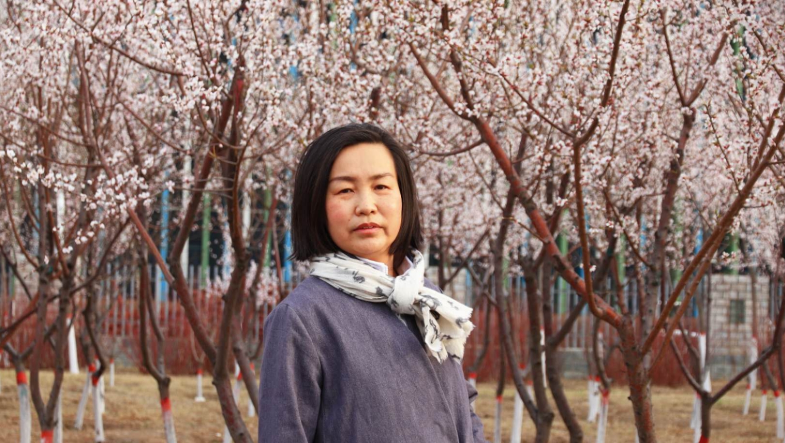 德力格尔玛 教授